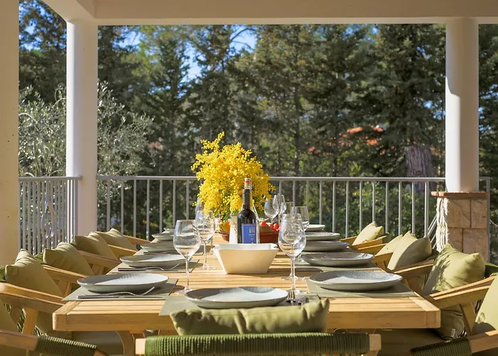 Lou San Peyre, Cannes Et Mougins, 4 Km Des Plages Apartment *